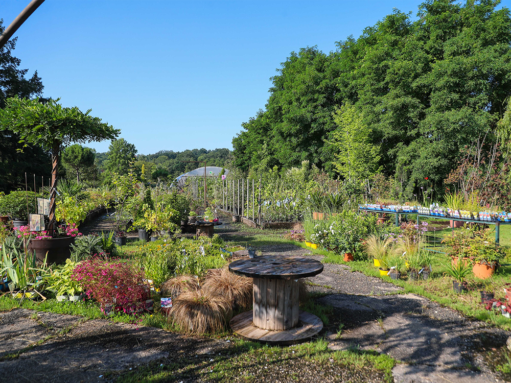 Pépinières Mirat à Uassac Extérieurs des Pépinières Mirat à Ussac