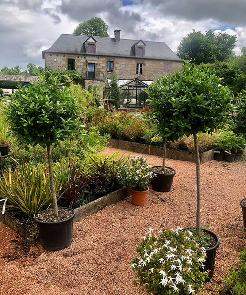 Pépiniériste et paysagiste à votre service